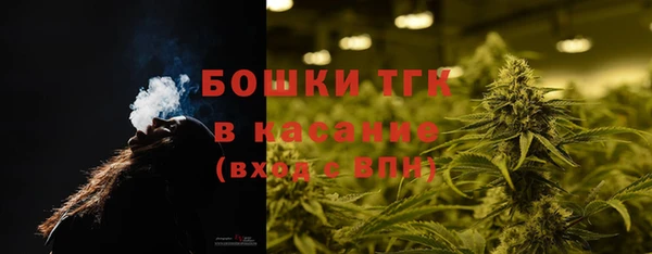дживик Абаза