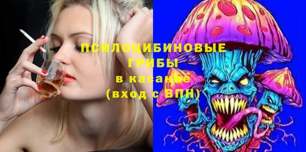 дживик Абаза
