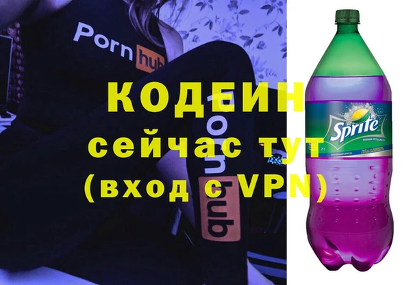 дживик Абаза
